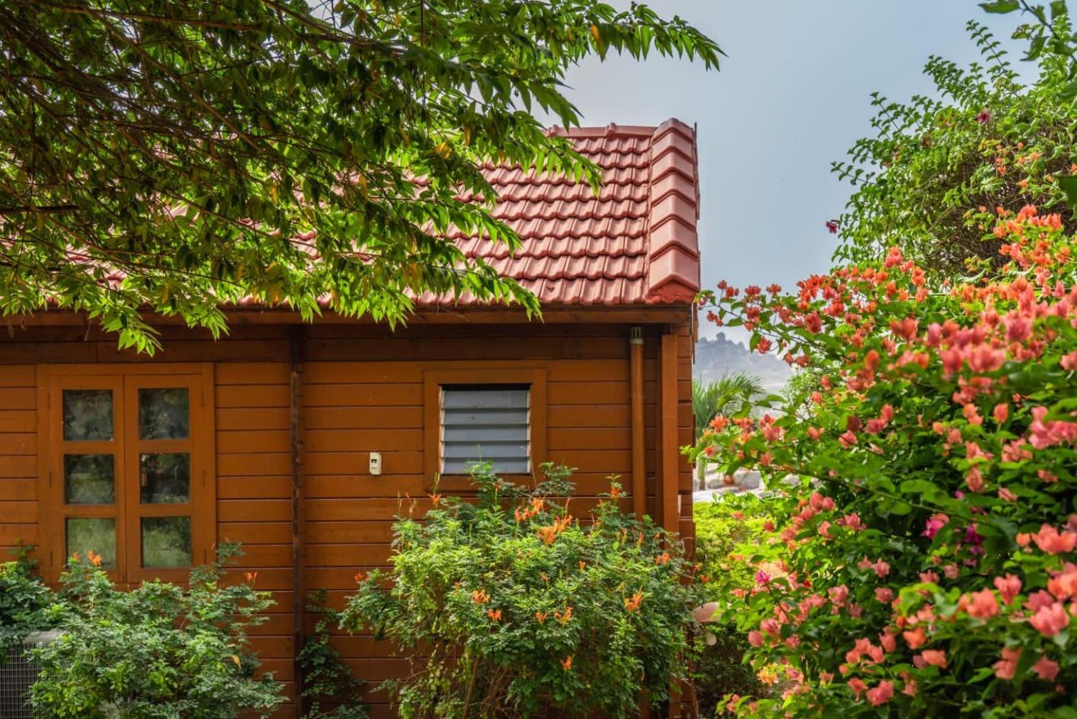 Leo Wooden Resorts ฮัมปี ภายนอก รูปภาพ